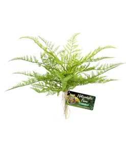 ZooMed Lace Fern műnövény 20x25cm