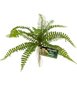 ZooMed Sword Fern műnövény 20x25cm