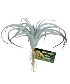 ZooMed Tillandsia Air Plant műnövény 25cm