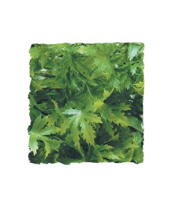 ZooMed Cannabis műnövény 36cm