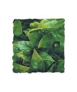 ZooMed Mexican Phyllo műnövény 36cm