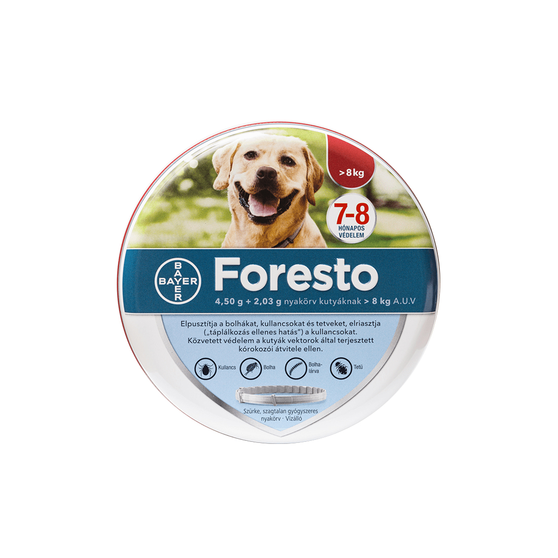 Foresto nyakörv 8kg feletti kutya