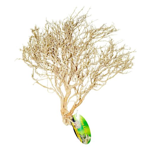 Lucky Reptile Desert Bushes Bleached S