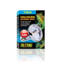 Exo Terra Halogen Basking Spot 75W